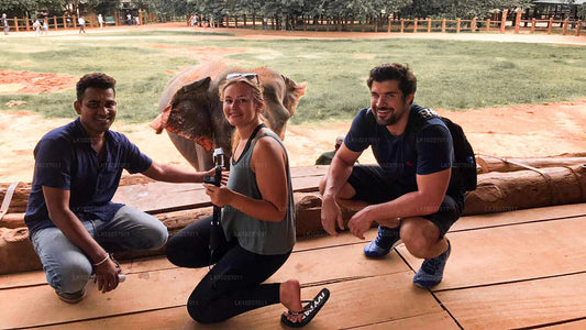 Тур «Культура холмов» из Галле (2 дня)