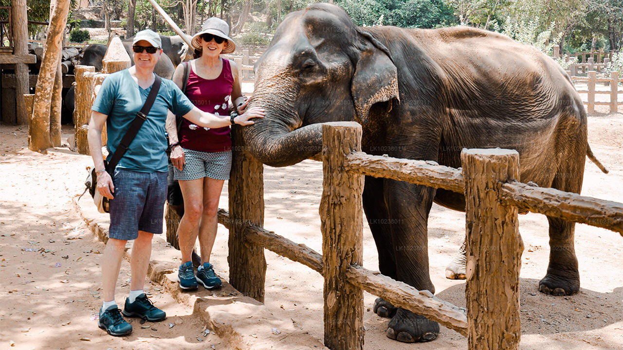 Тур «Культура холмов» из Хиккадувы (2 дня)