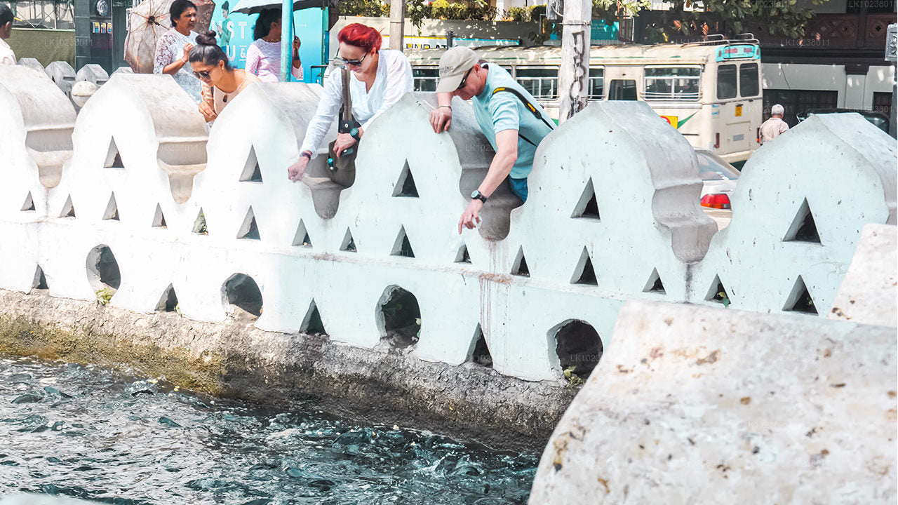 Тур «Культура холмов» из Хиккадувы (2 дня)