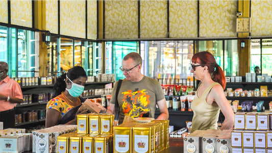 Туманные горные тропы из Галле (2 дня)