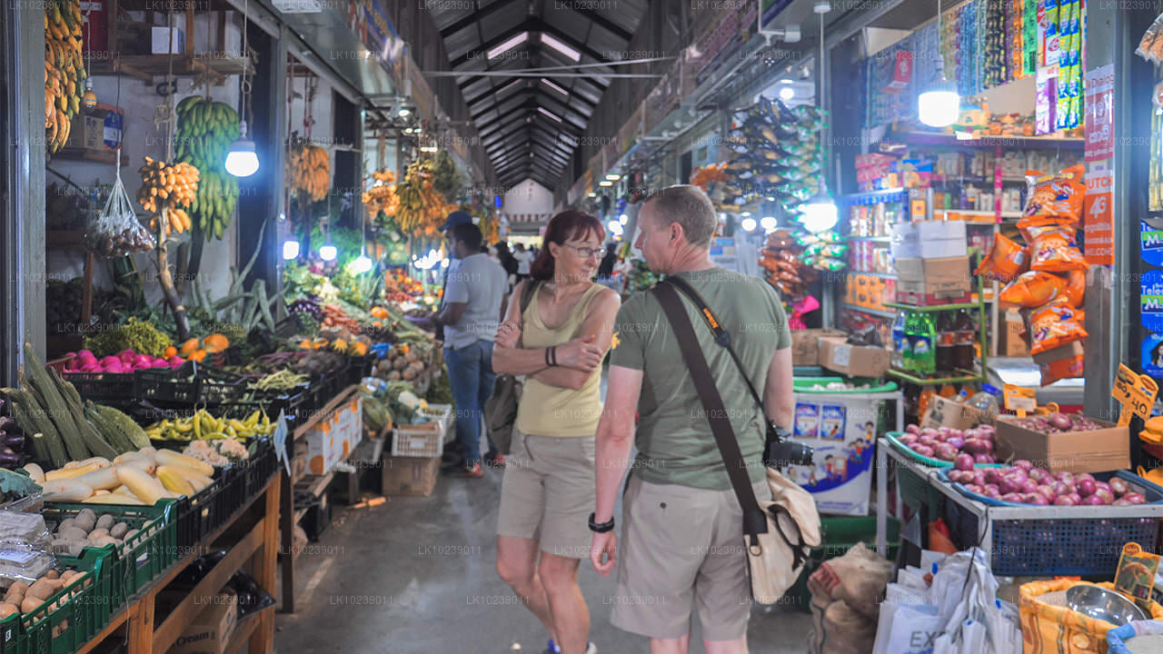 Туманные горные тропы из Галле (2 дня)