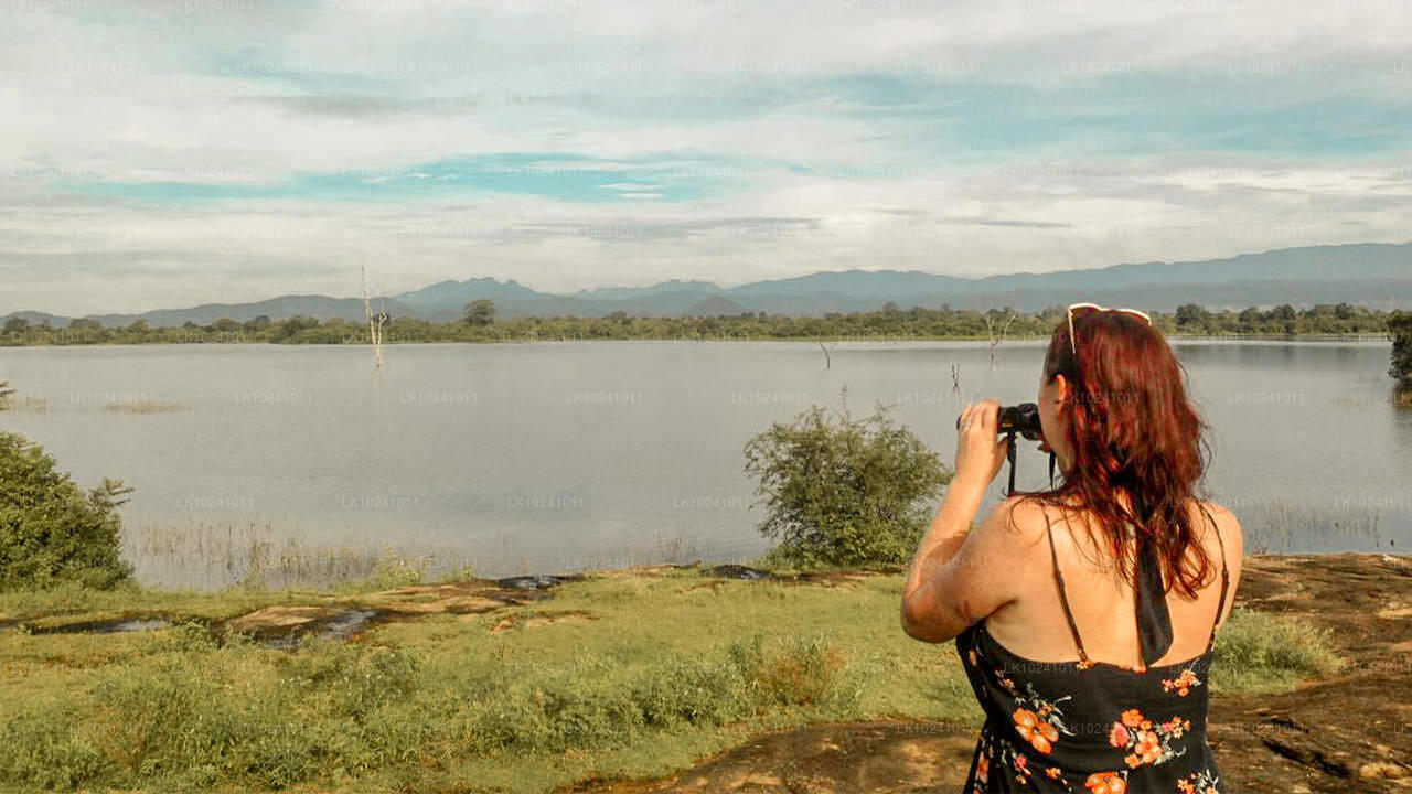 Удавалаве из Хиккадувы (2 дня)