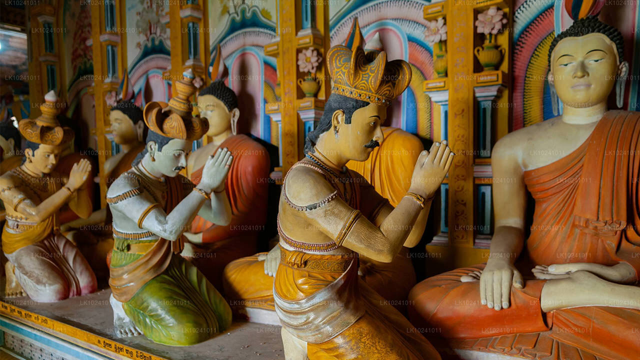 Удавалаве из Хиккадувы (2 дня)