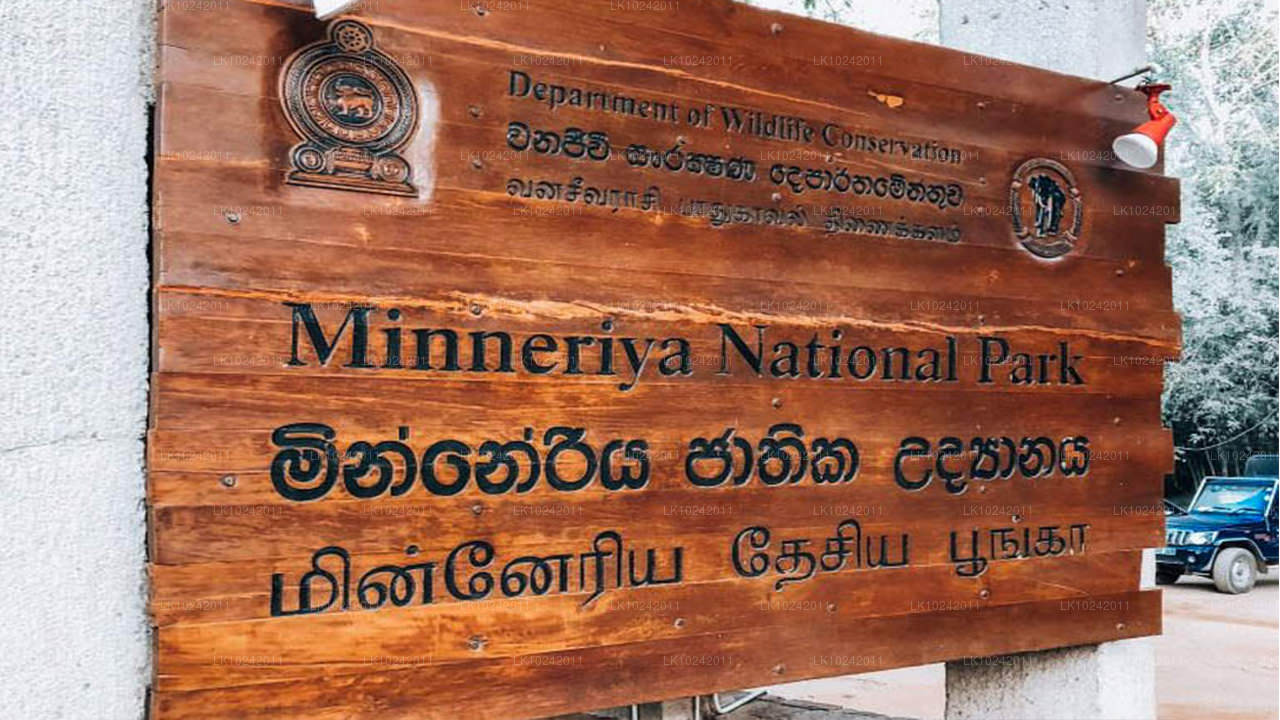 Древние чудеса из Коломбо (2 дня)