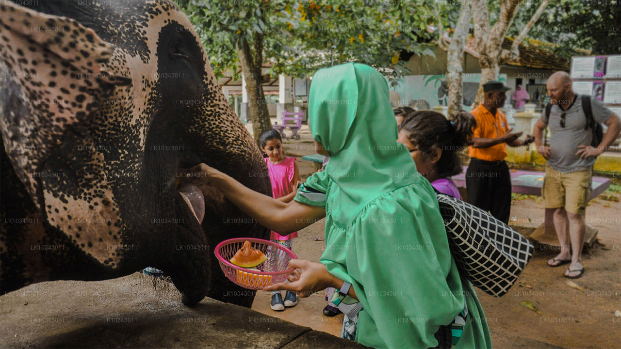 Остров чудес (3 дня)