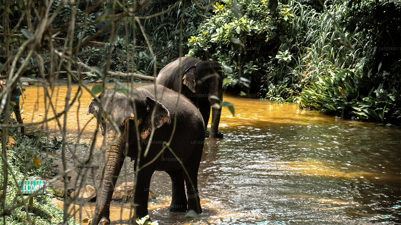 Остров чудес (3 дня)