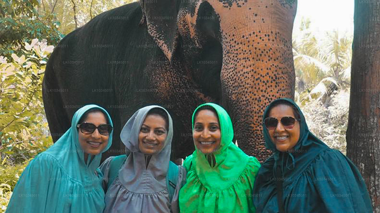 Последнее Королевство Шри-Ланка из Коломбо (3 дня)