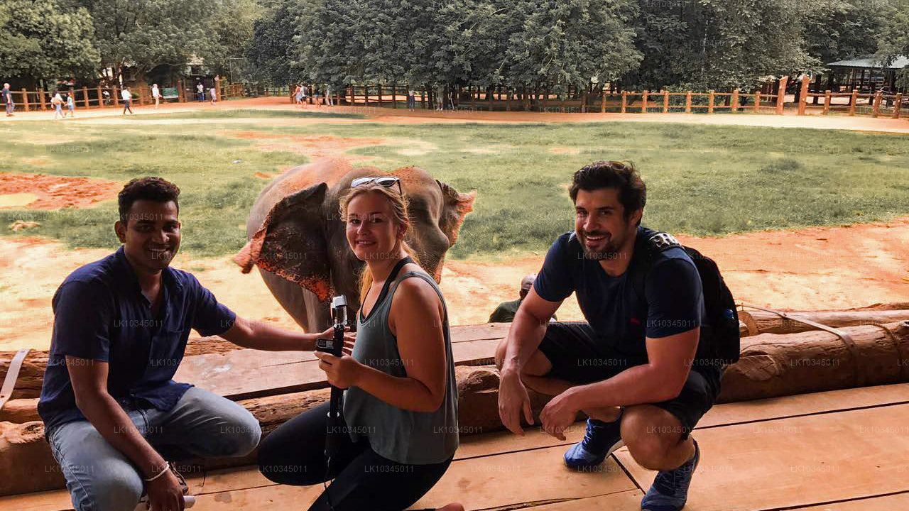 Последнее Королевство Шри-Ланка из Коломбо (3 дня)