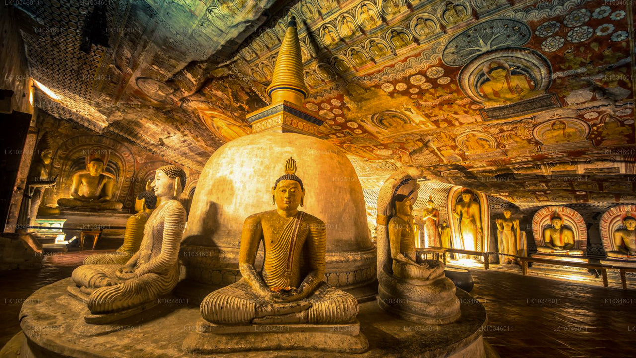 Рассказы о древнем Цейлоне из Коломбо (3 дня)