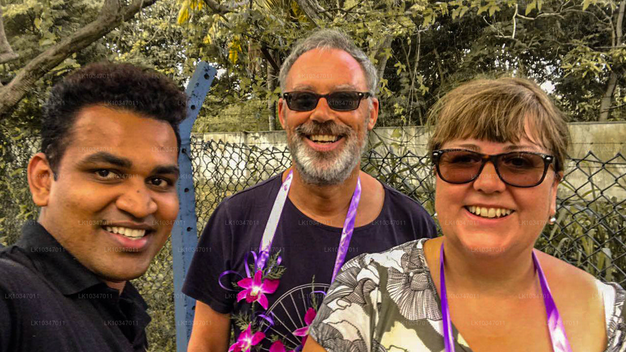 Священный город Анурадхапура из Коломбо (3 дня)