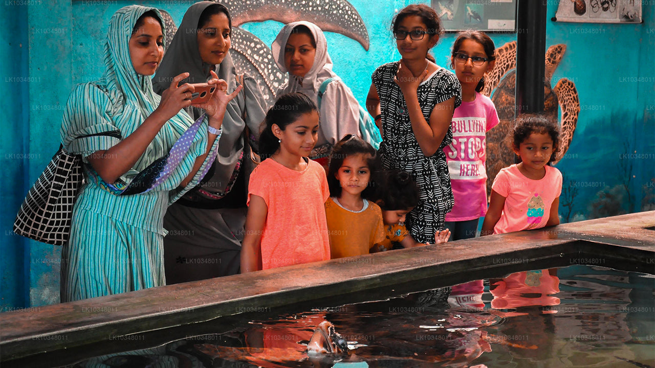 Уютная Шри-Ланка (3 дня)