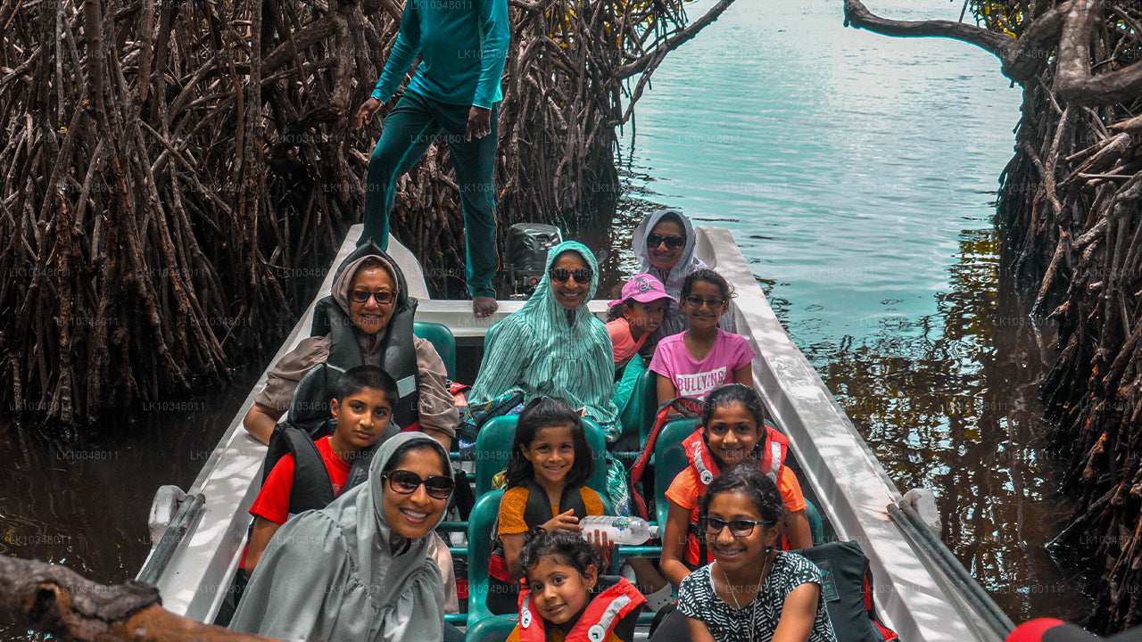 Уютная Шри-Ланка (3 дня)