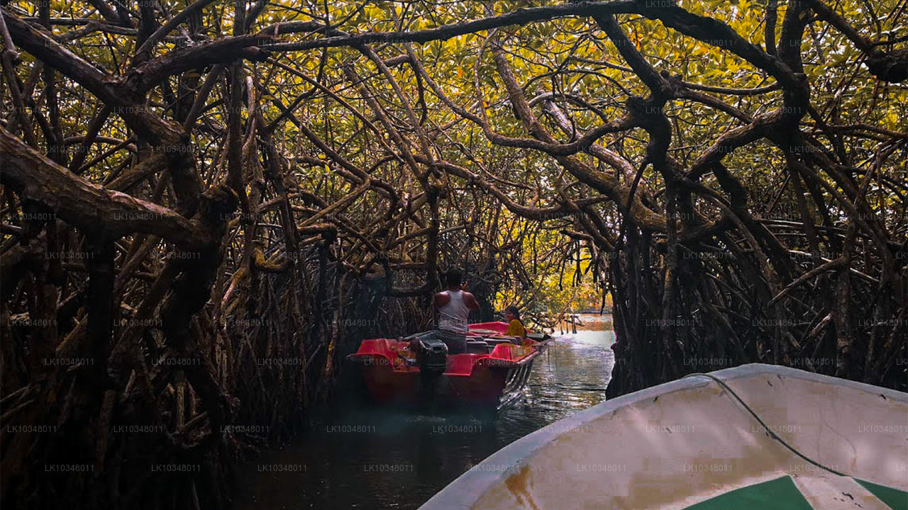 Уютная Шри-Ланка (3 дня)