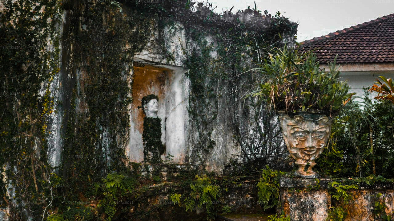 Уютная Шри-Ланка (3 дня)