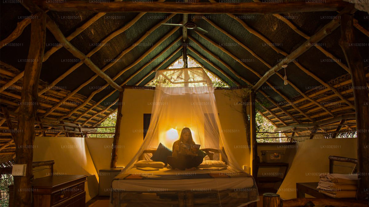 Экологические туры по Шри-Ланке (3 дня)