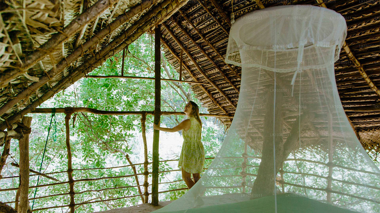 Экологические туры по Шри-Ланке (3 дня)