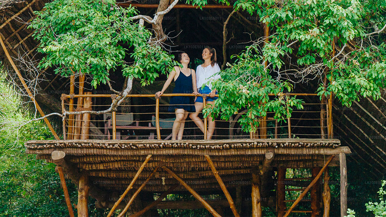 Экологические туры по Шри-Ланке (3 дня)