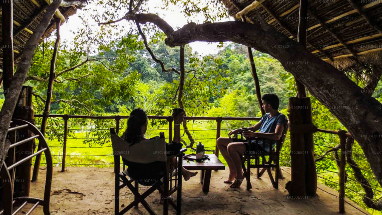 Экологические туры по Шри-Ланке (3 дня)