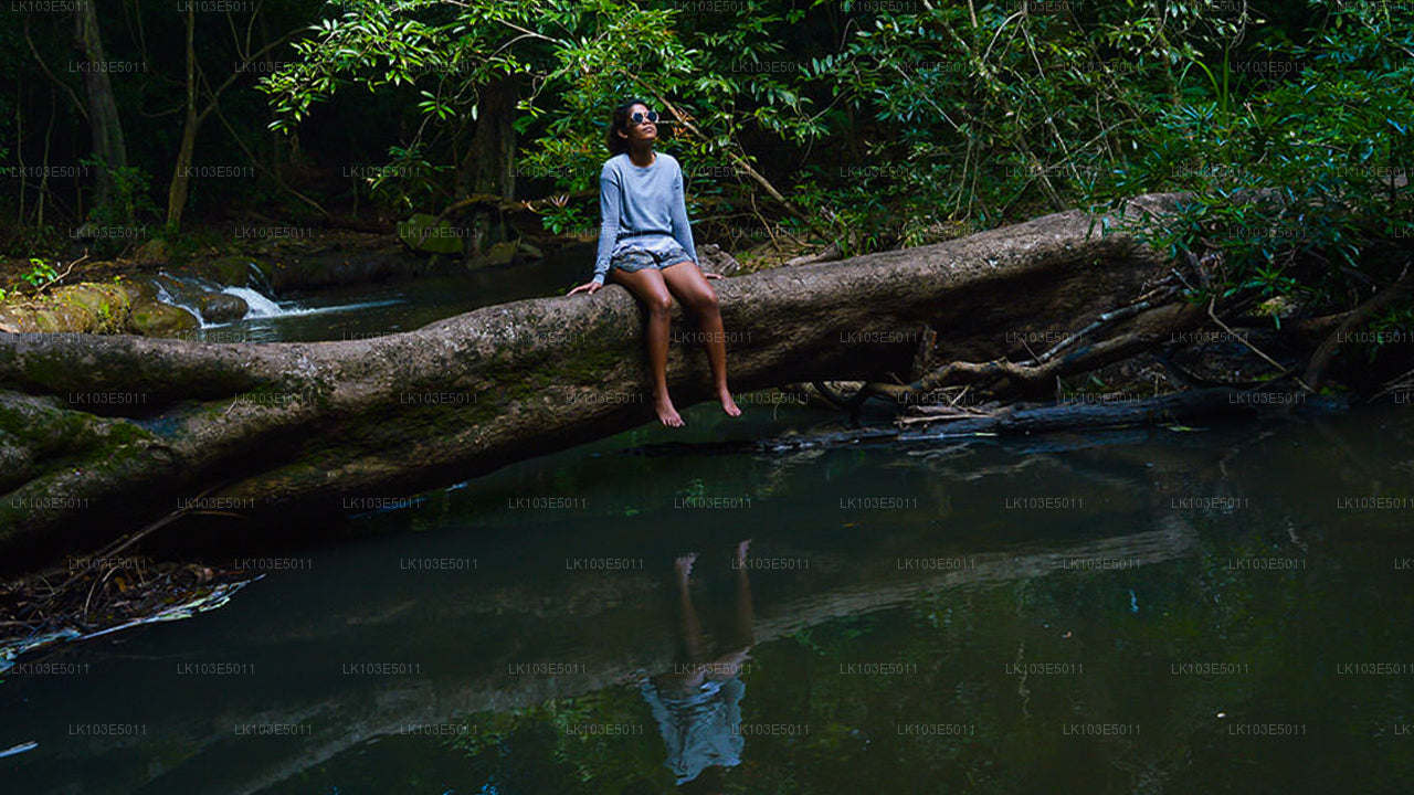 Экологические туры по Шри-Ланке (3 дня)