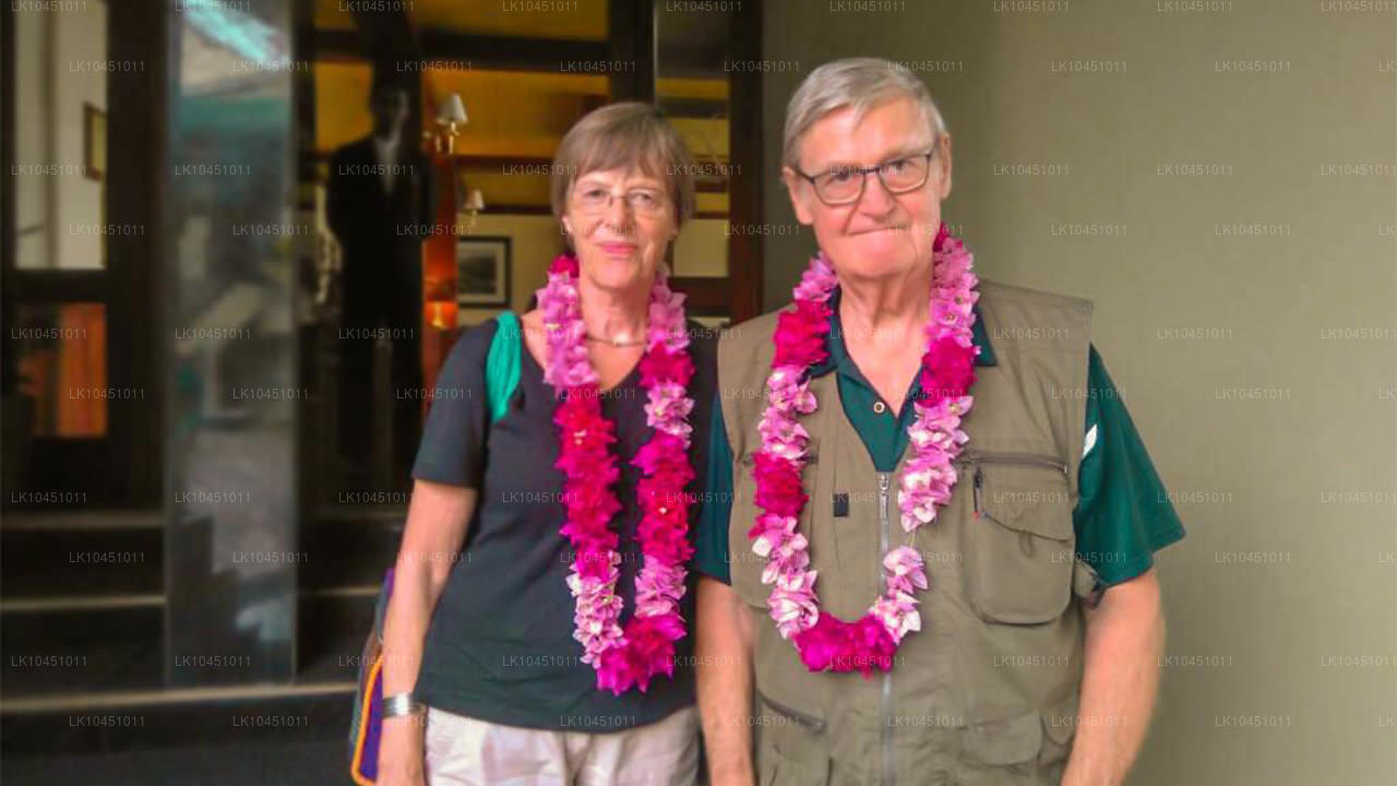 По Ланке из Коломбо (4 дня)