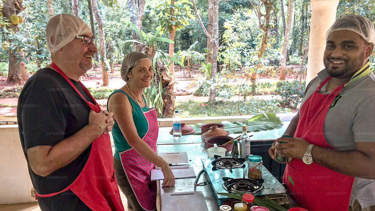 По Ланке из Коломбо (4 дня)