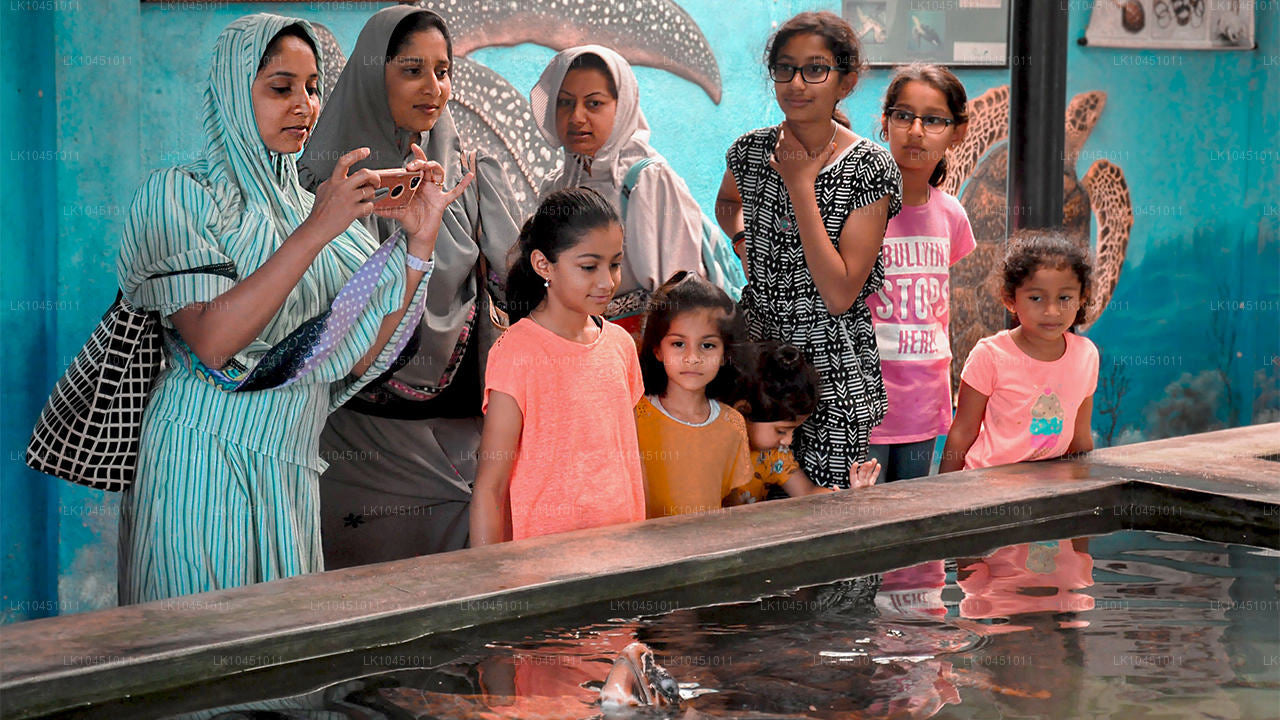 По Ланке из Коломбо (4 дня)