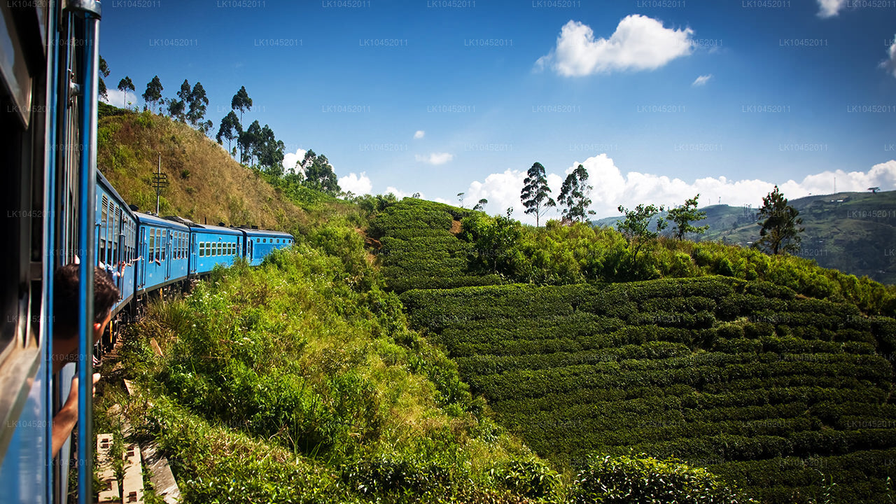 Blue train traveling through lush green tea plantations in the Sri Lankan highlands under a bright blue sky.