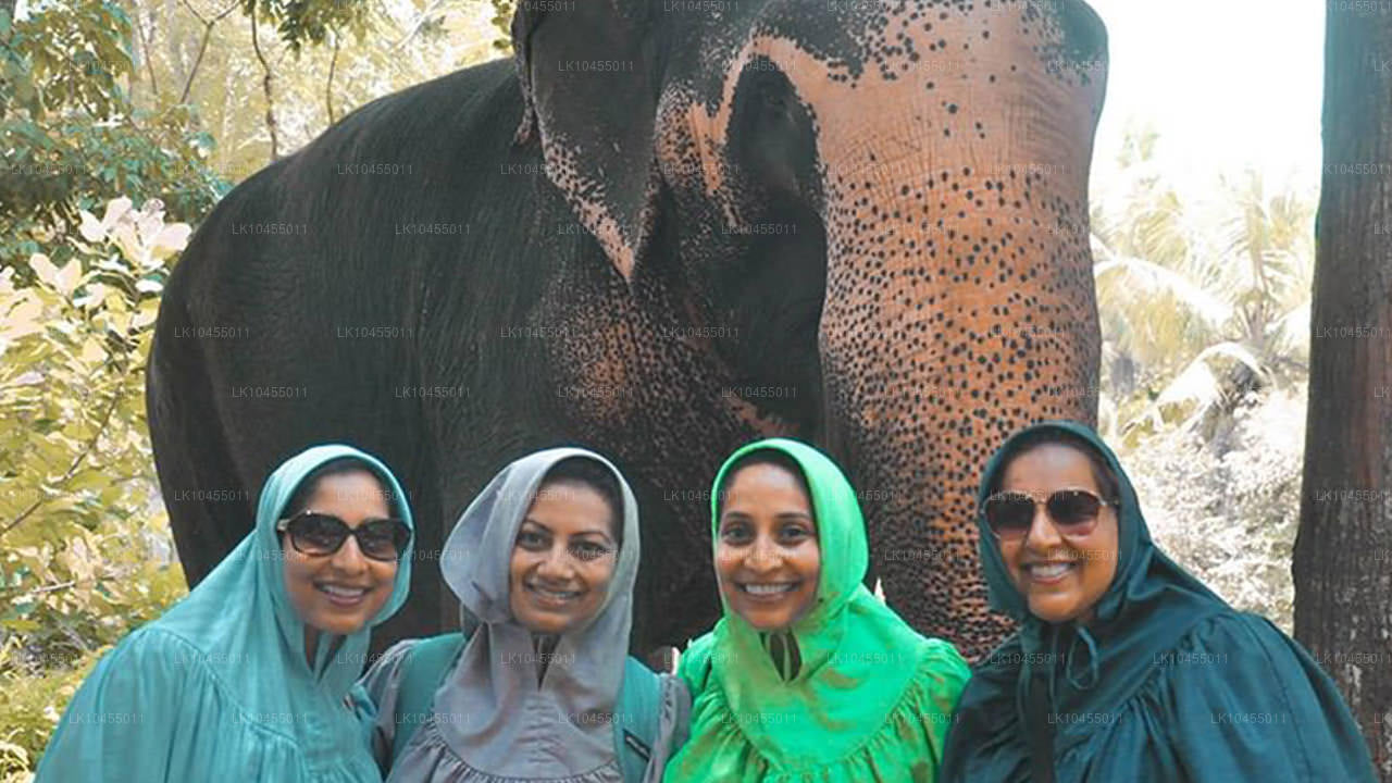 Тур для аборигенов Шри-Ланки (4 дня)