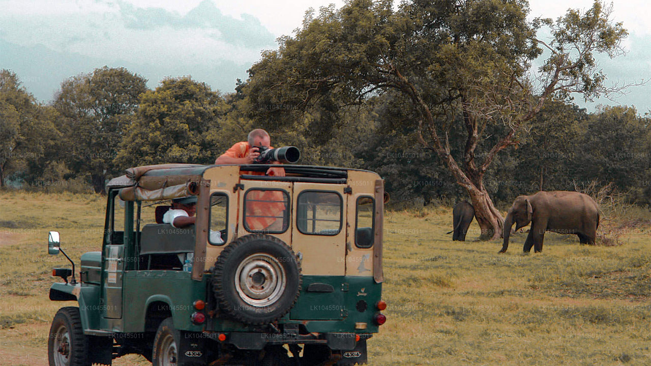Тур для аборигенов Шри-Ланки (4 дня)