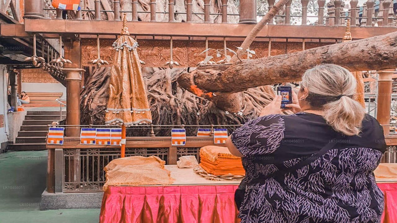 Быстрый городской отдых (4 дня)