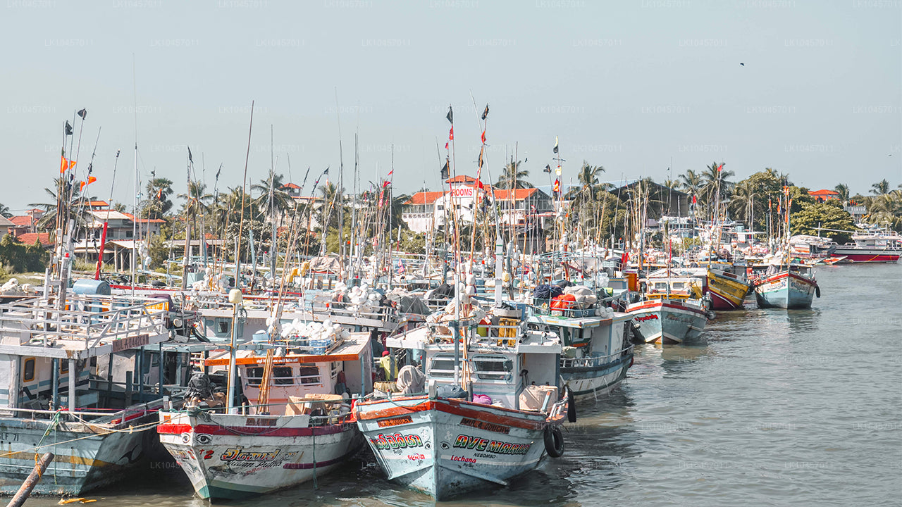 Пляж и город (4 дня)