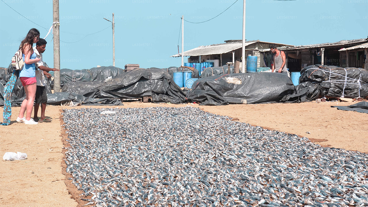 Пляж и город (4 дня)