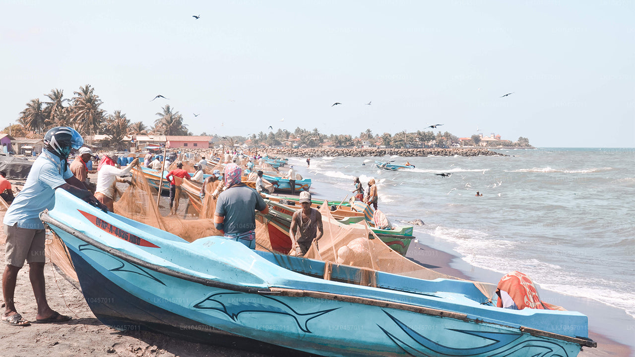 Пляж и город (4 дня)