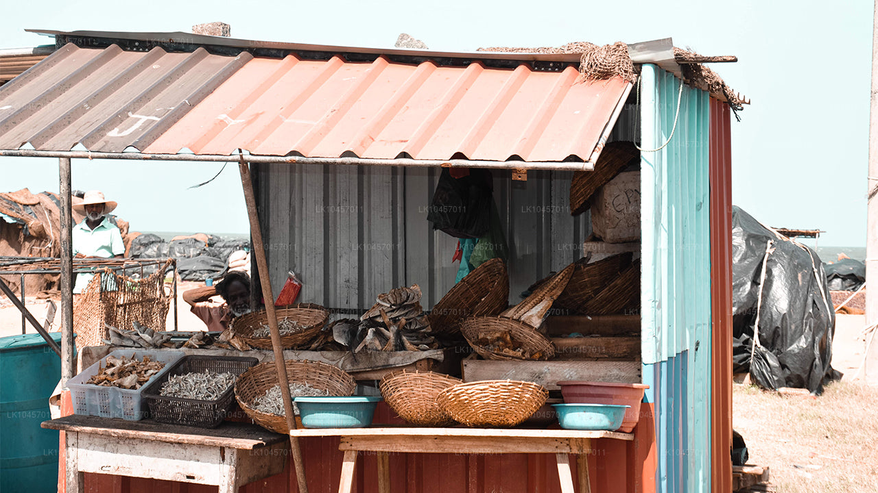 Пляж и город (4 дня)