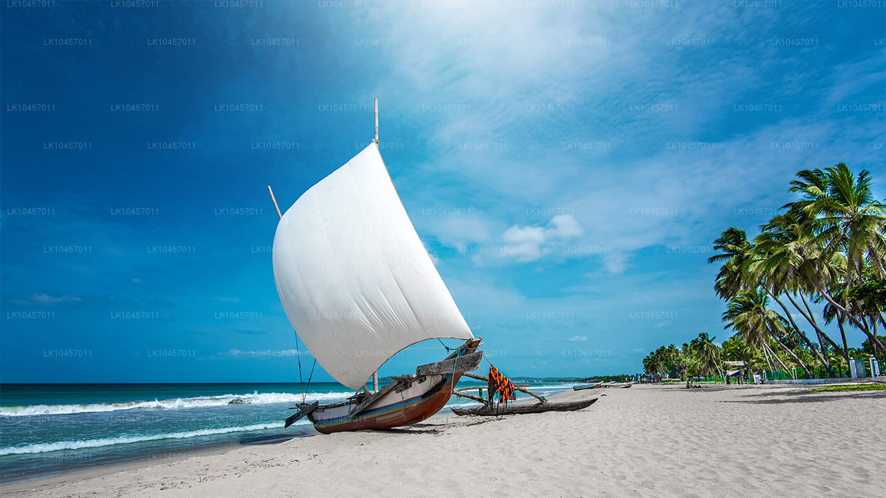 Пляж и город (4 дня)