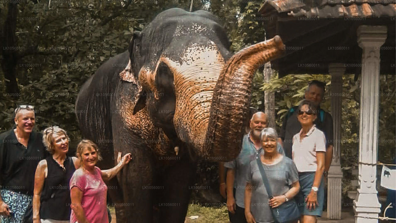 Прибрежный пояс Юга (5 дней)