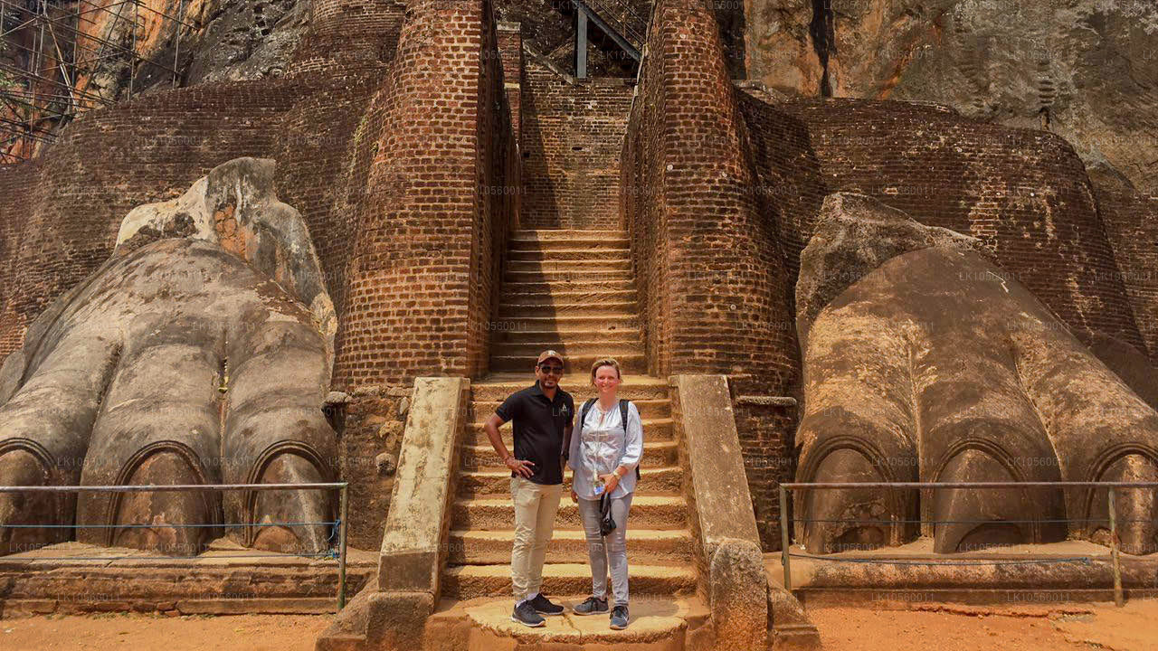 Прибрежный пояс Юга (5 дней)