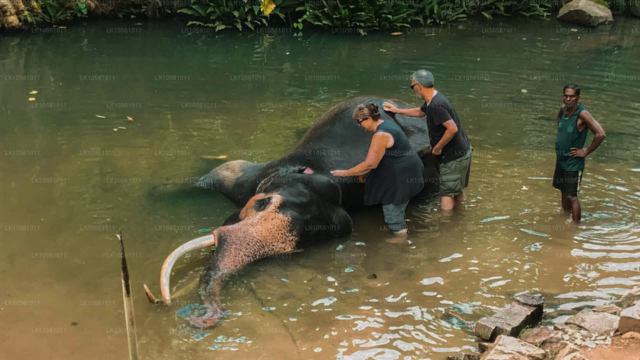 Остров чудес (5 дней)