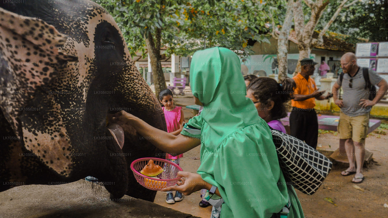 Краткий обзор Шри-Ланки (5 дней)