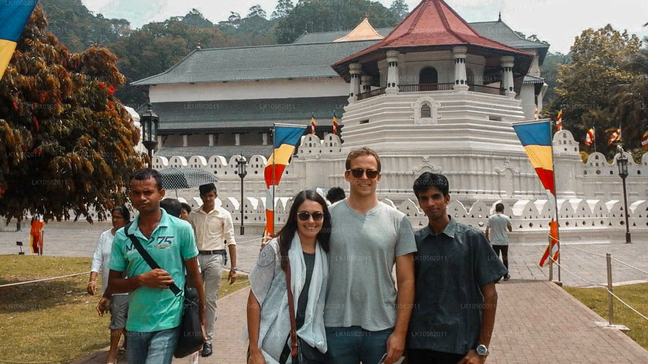 Краткий обзор Шри-Ланки (5 дней)