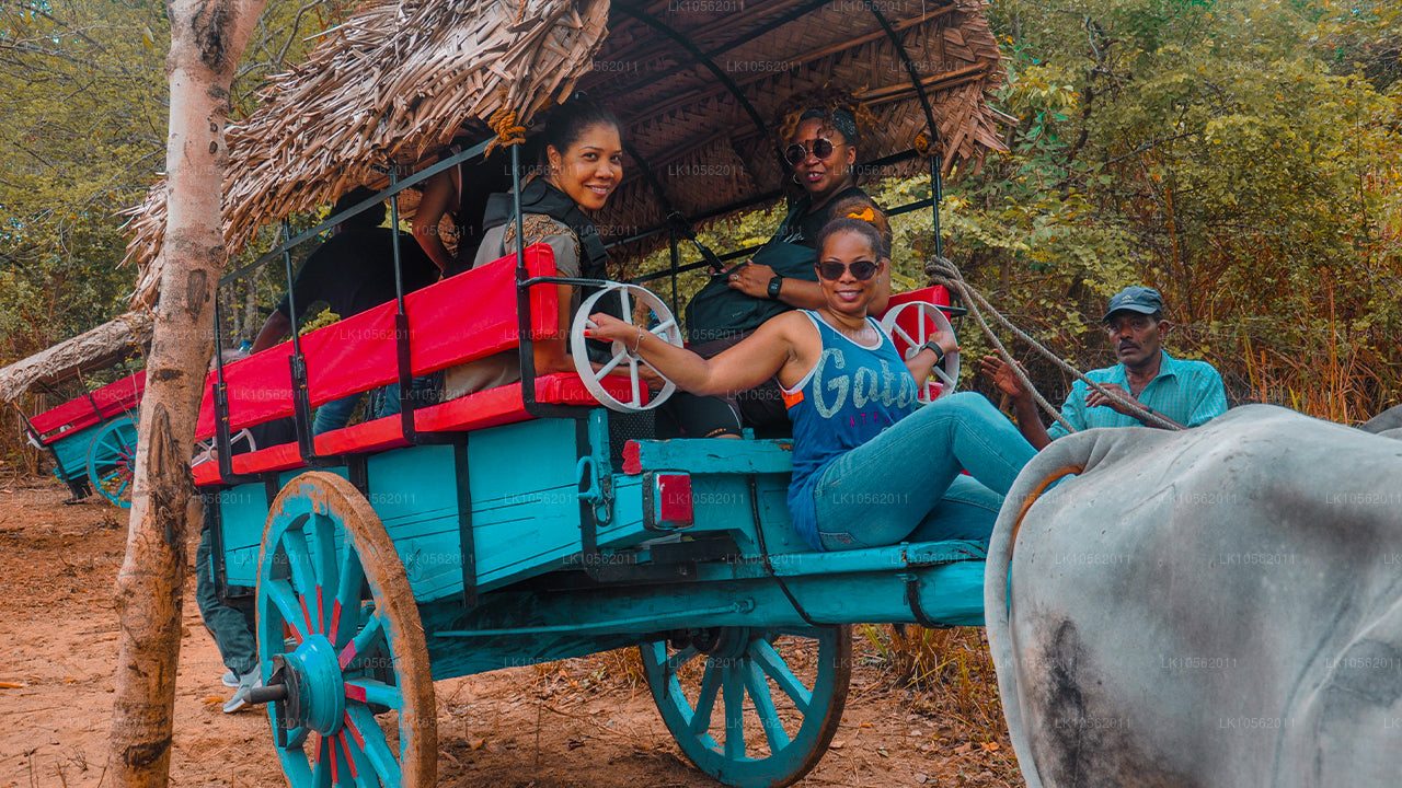 Краткий обзор Шри-Ланки (5 дней)