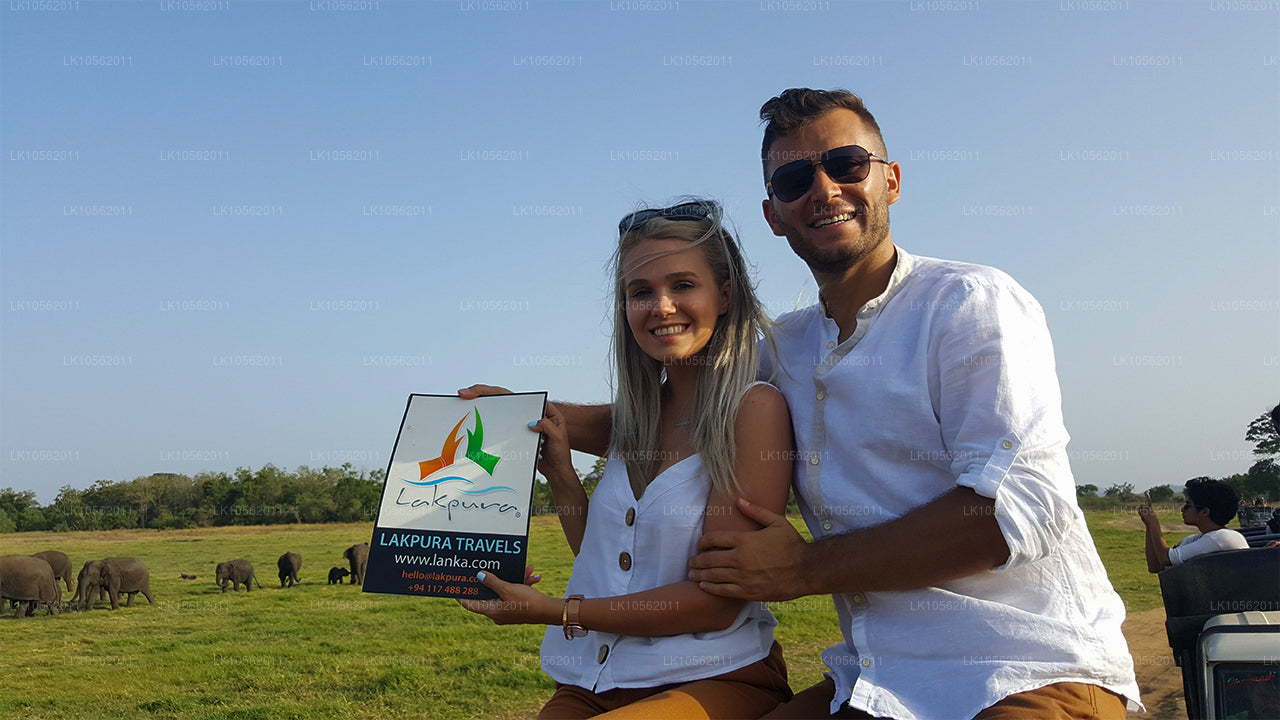 Краткий обзор Шри-Ланки (5 дней)