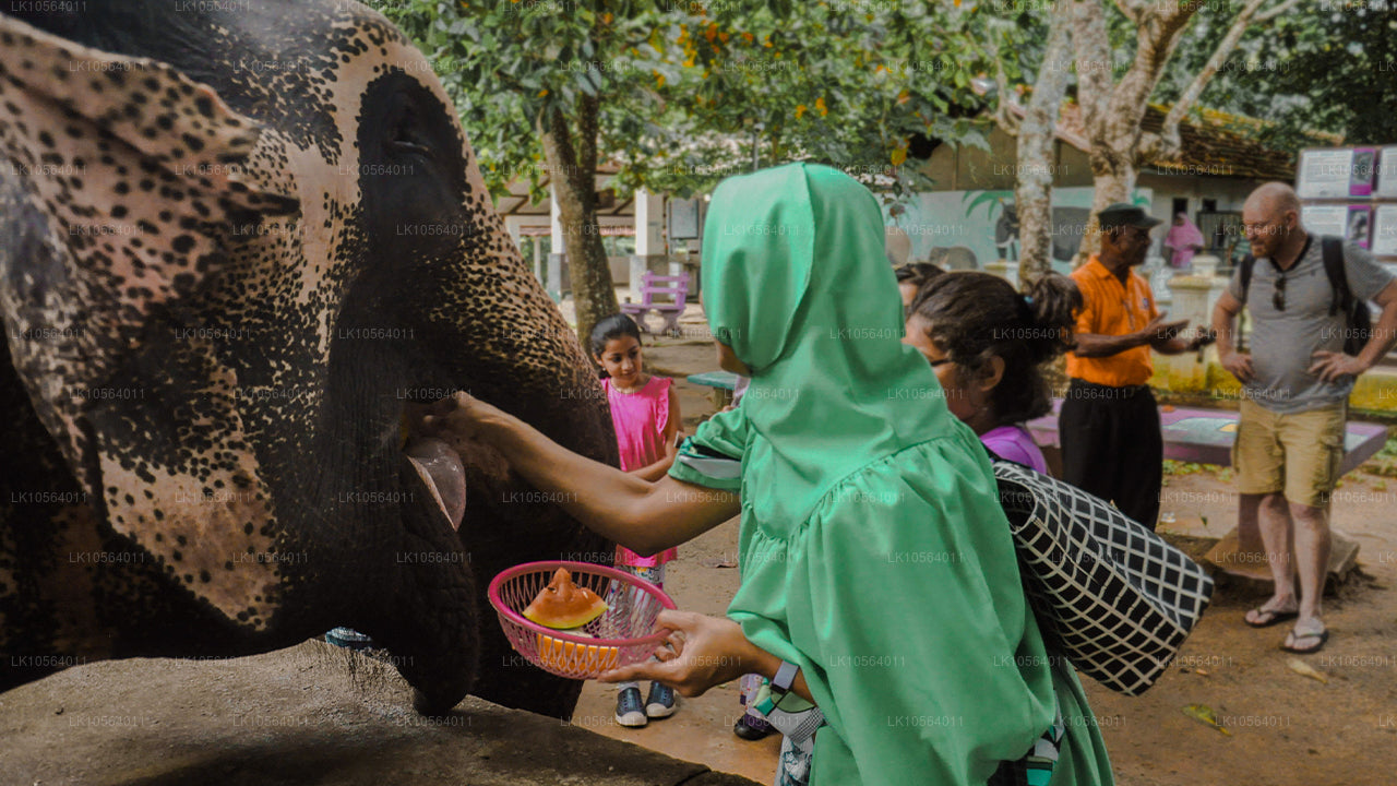 Горячие точки Шри-Ланки (5 дней)