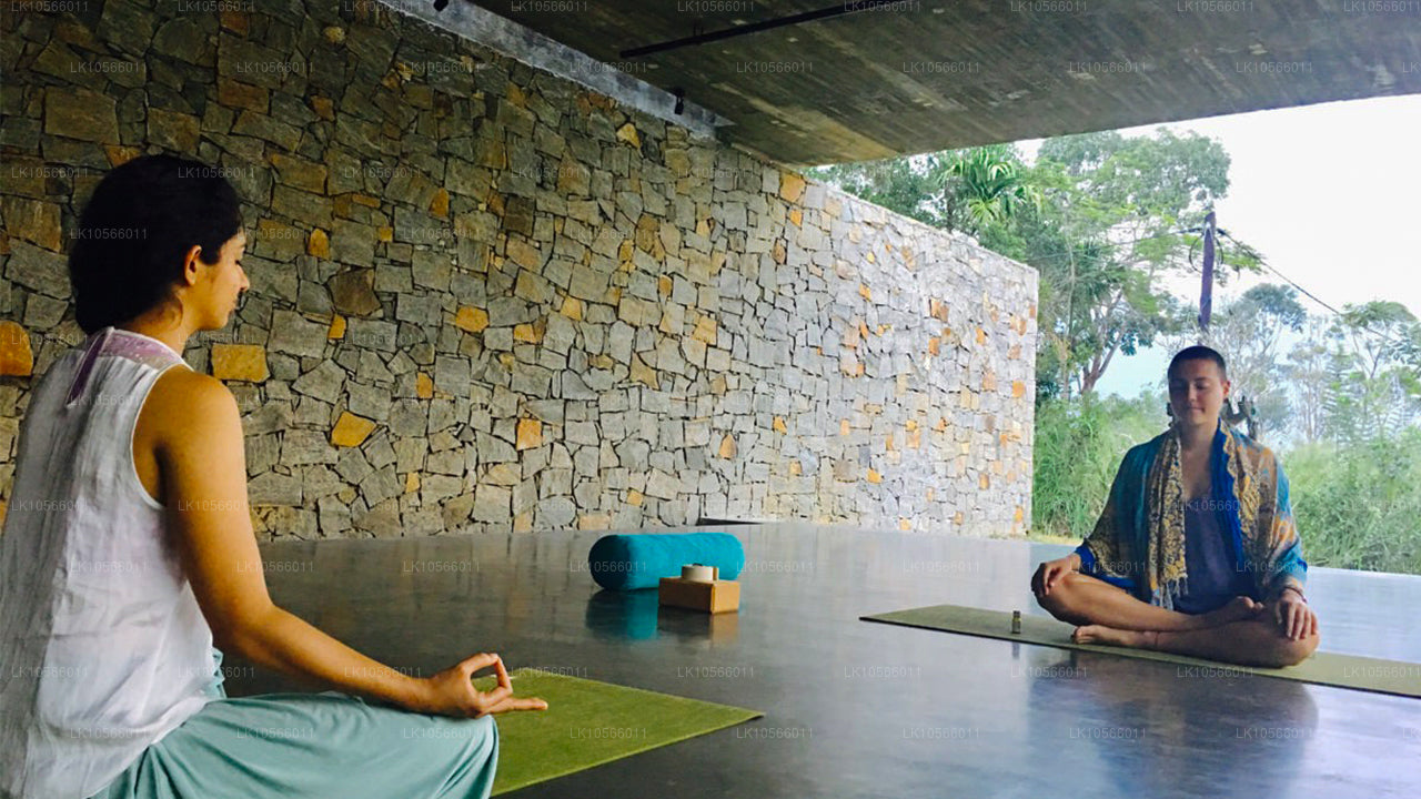 Тур по медитации и йоге (5 дней)