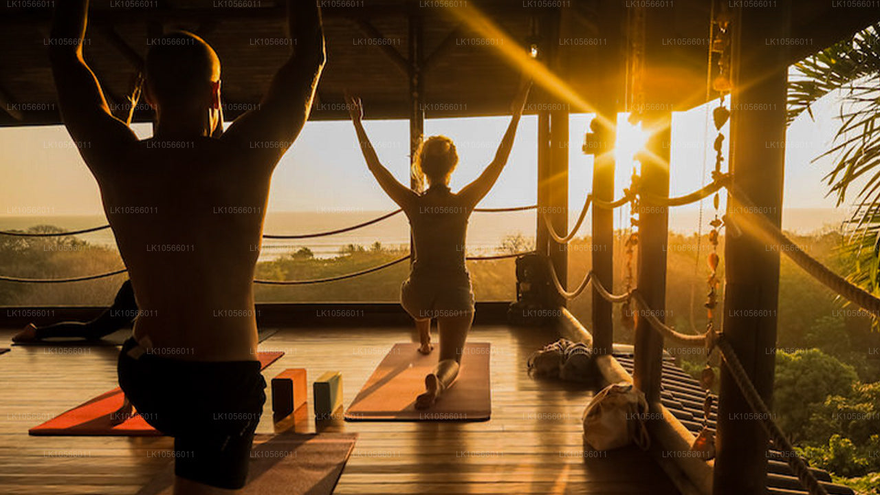 Тур по медитации и йоге (5 дней)