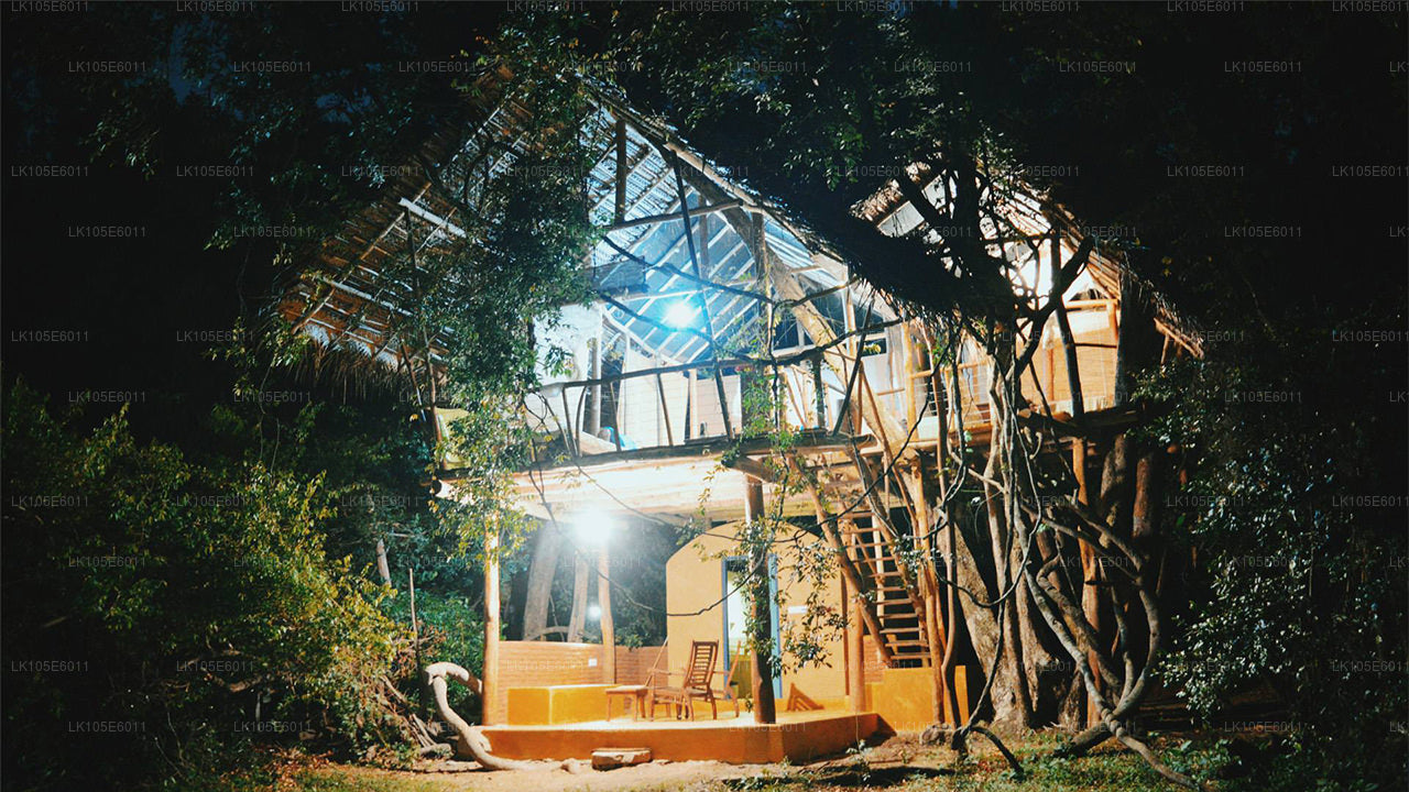 Экологические туры по Шри-Ланке (6 дней)