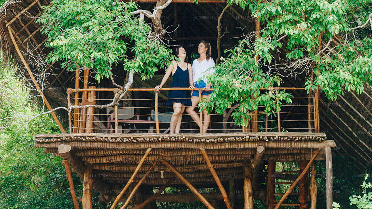 Экологические туры по Шри-Ланке (6 дней)