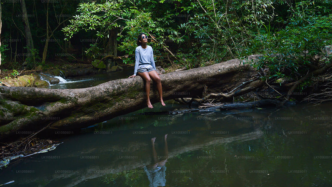 Экологические туры по Шри-Ланке (6 дней)