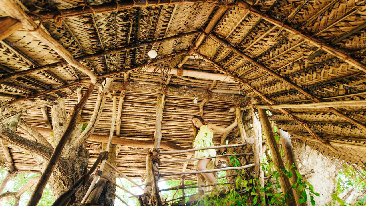 Экологические туры по Шри-Ланке (6 дней)