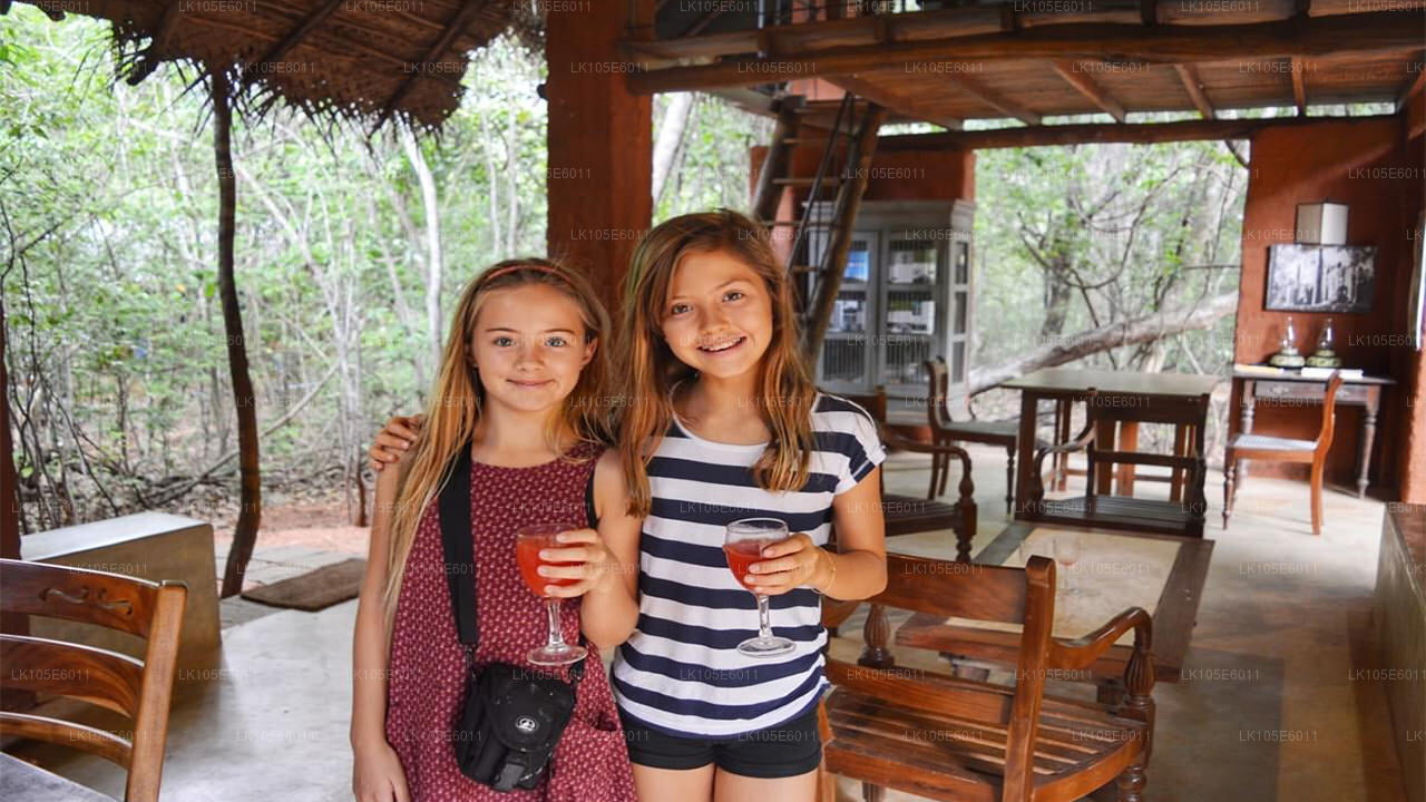 Экологические туры по Шри-Ланке (6 дней)